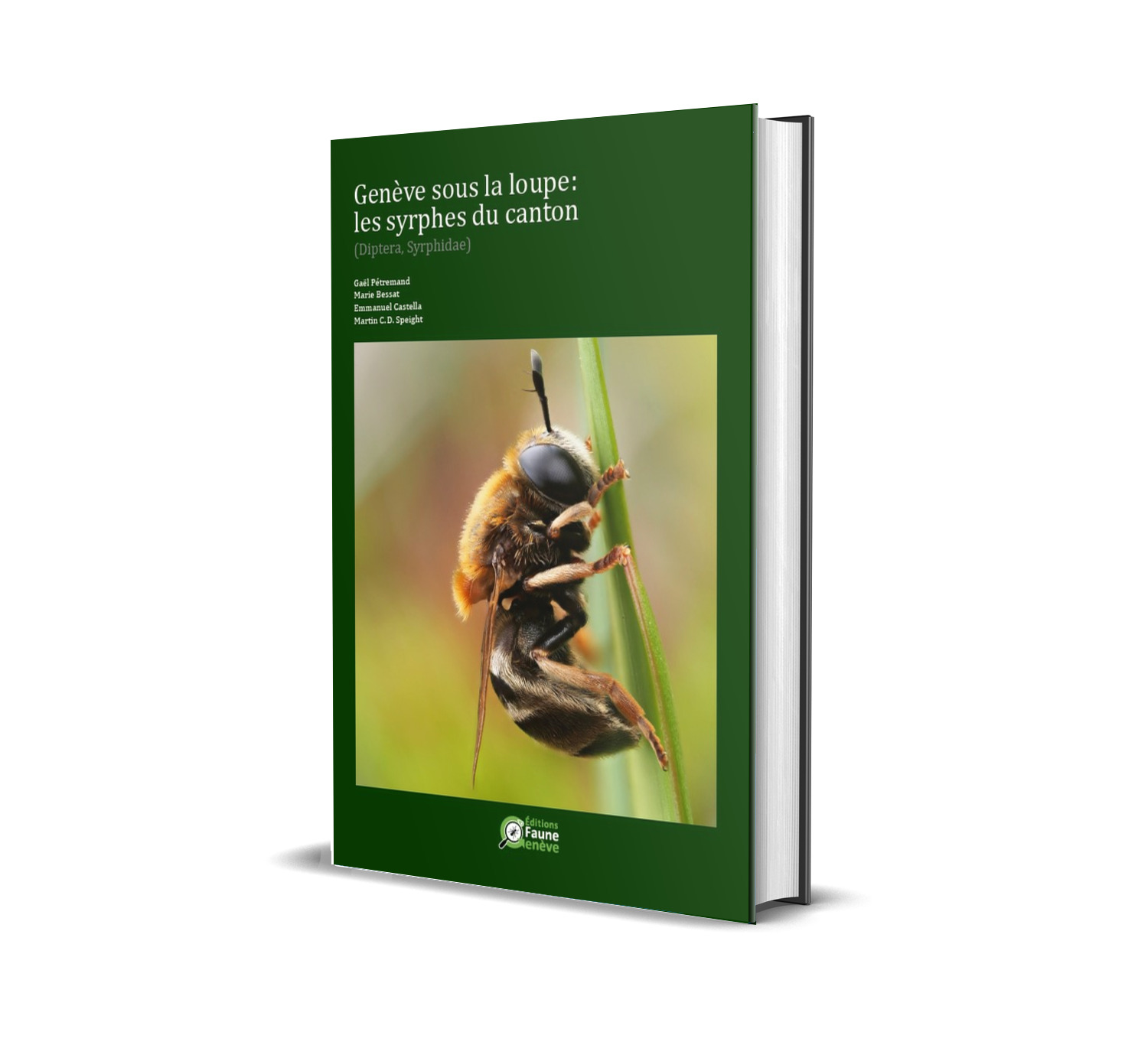 Jacquette_3D_Syrphes